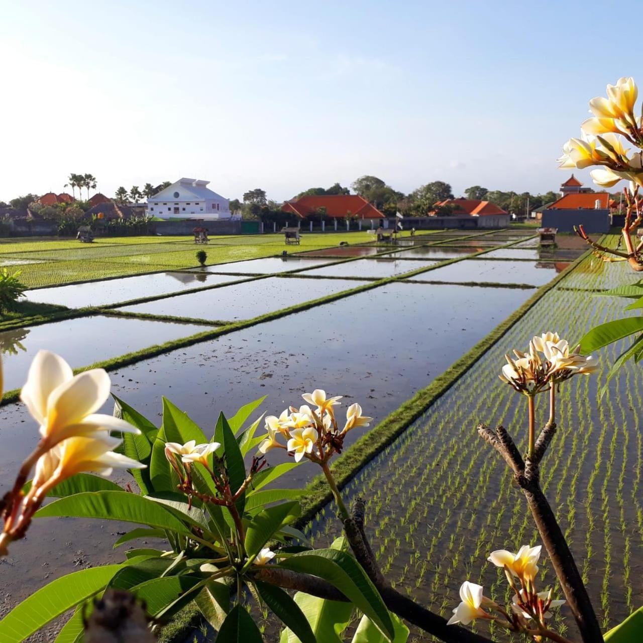 The Avani Villas Kuta Lombok Exterior foto